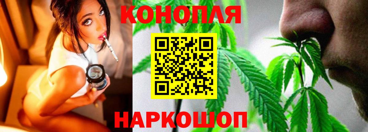 Бошки Шишки гибрид Дмитров